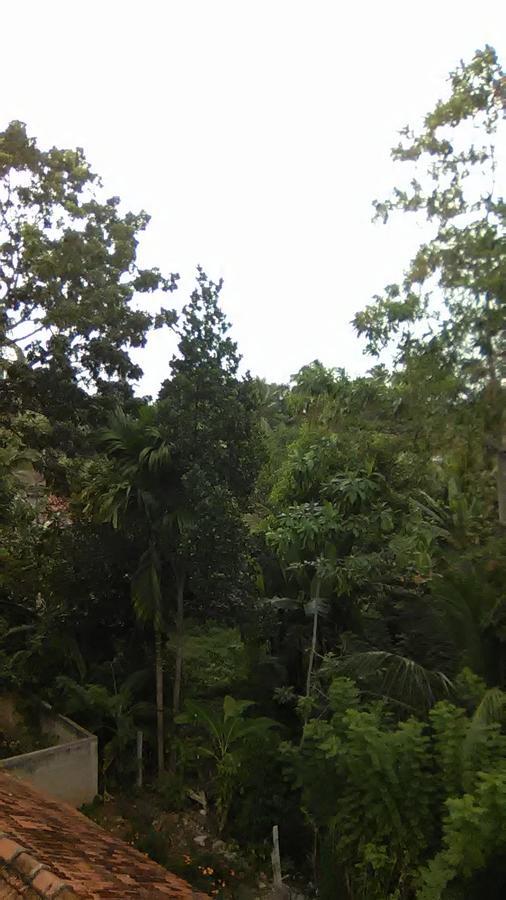 Mallika Resort Mirissa Exterior foto